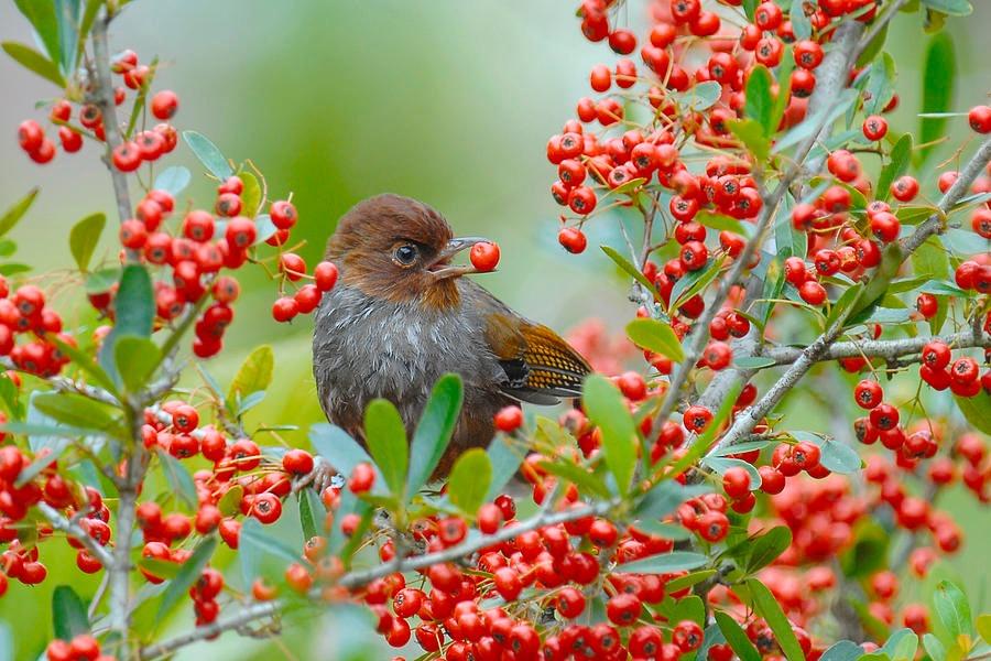 Ngày sinh Âm lịch kết thúc bằng số này, tài lộc hưng vượng-2