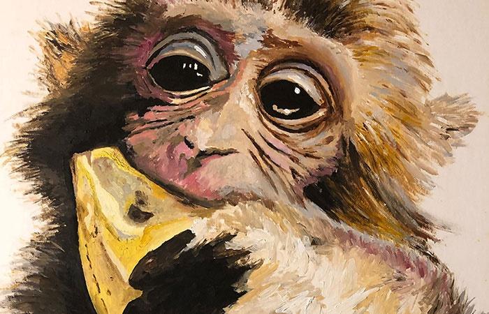 Từ ngày 15 - 19/10: 4 con giáp hổ mọc thêm cánh, tình tiền thăng hạng-4