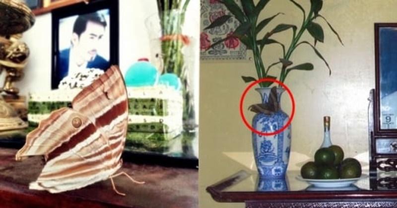 4 dấu hiệu phá tài trong phong thủy, sửa ngay kẻo tiền chạy khỏi ví-2