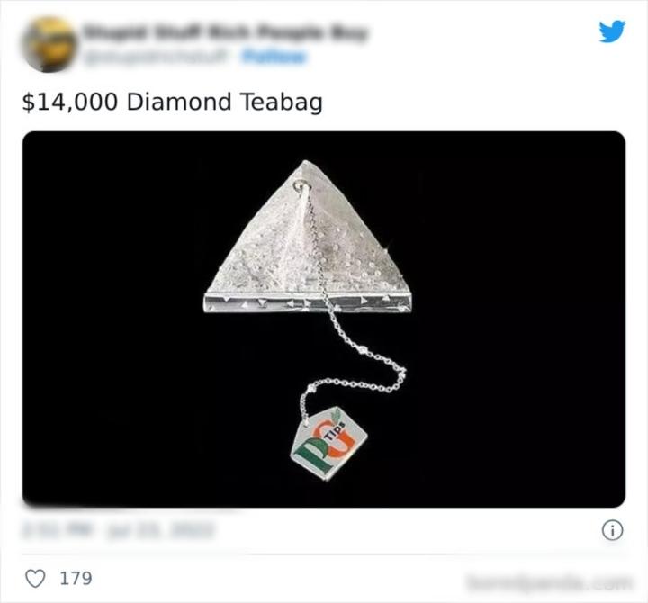 Những món đồ điên rồ giá trên trời giới nhà giàu bỏ tiền tỷ để mua-2