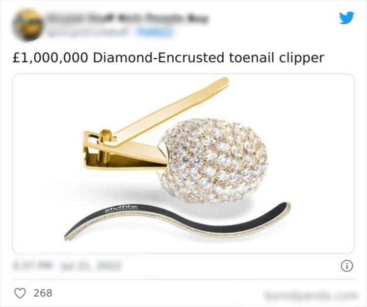 Những món đồ điên rồ giá trên trời giới nhà giàu bỏ tiền tỷ để mua-3