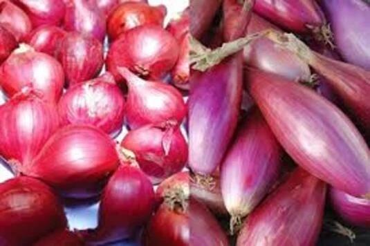 Cách bảo quản hành tím để cả năm cũng không bị hỏng, mốc-3