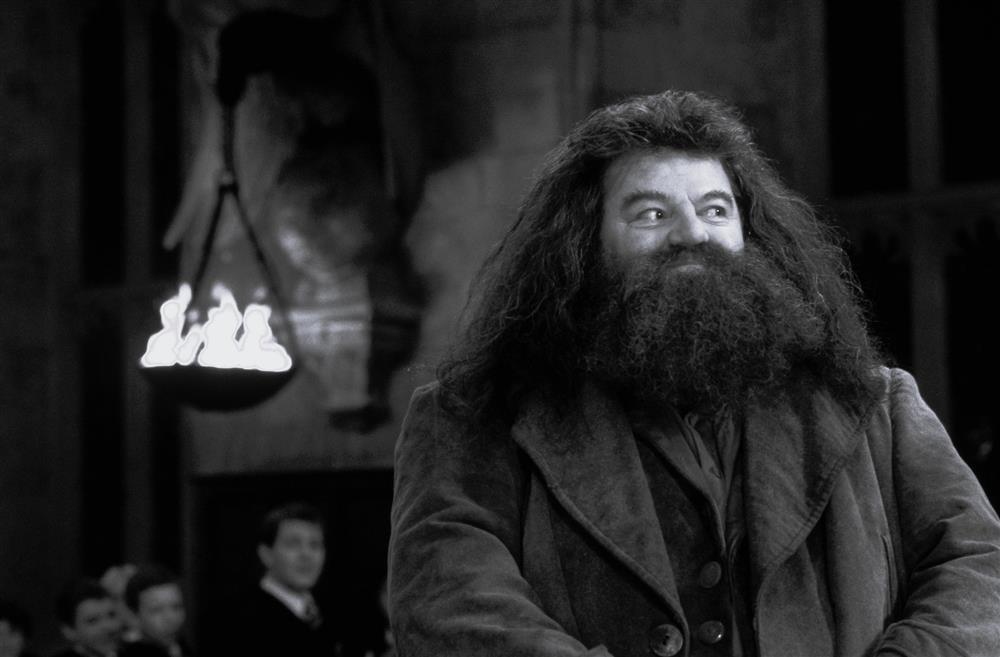 Bác Hagrid của Harry Potter qua đời-2
