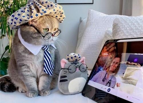 Ngày 16/10 Cát Tinh chiếu rọi, điểm danh 4 tuổi tiền về ào ào-4