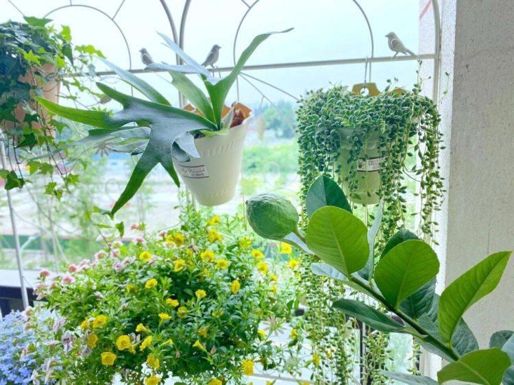 Trong nhà xuất hiện 4 điều chứng tỏ gia chủ được ăn lộc Tổ Tiên-3