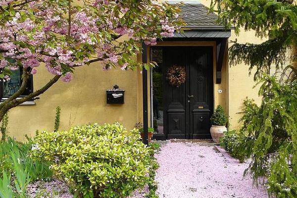 Phòng khách không đặt 3 thứ, sân nhà không trồng 3 cây, đó là gì?-5