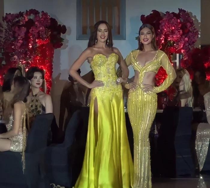 Thiên Ân diện váy cắt khoét hiểm hóc sánh đôi cùng đại diện Venezuela-3