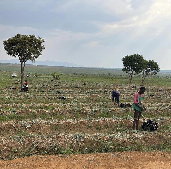 Quang Linh Vlog kiếm lãi siêu to từ tài sản bạc tỷ mới tậu vài tháng-2