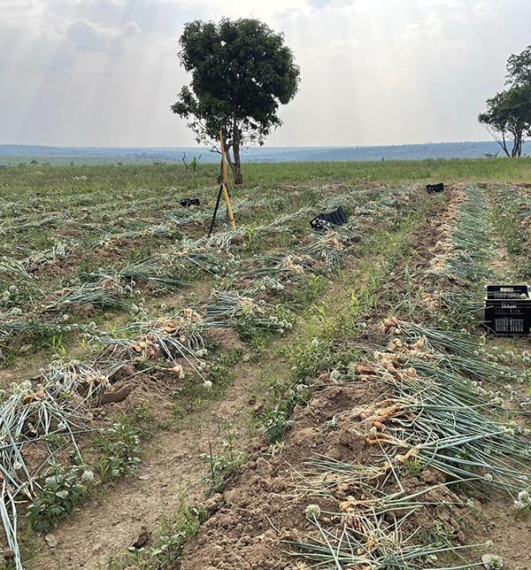 Quang Linh Vlog kiếm lãi siêu to từ tài sản bạc tỷ mới tậu vài tháng-4