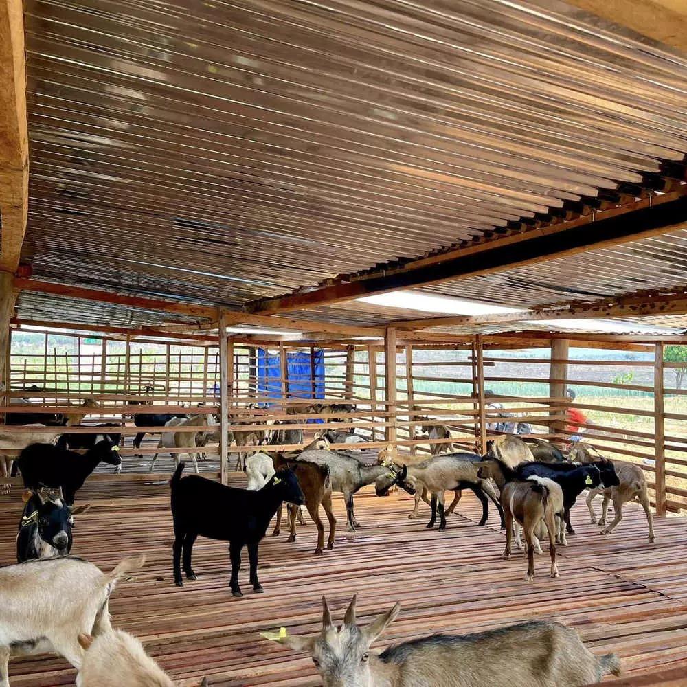 Quang Linh Vlog kiếm lãi siêu to từ tài sản bạc tỷ mới tậu vài tháng-8