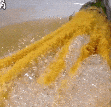 Cà tím chiên xù kiểu mới: Làm dễ, vừa đẹp vừa lạ miệng-7