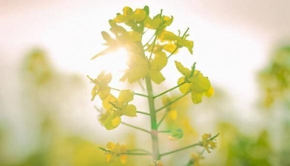 Phụ nữ có 3 hành vi này rất dễ bị đàn ông bỏ rơi, nên cẩn thận-2