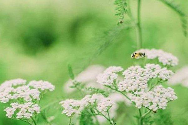 Nghe vợ cũ tâm sự, tôi hết muốn lấy anh-2