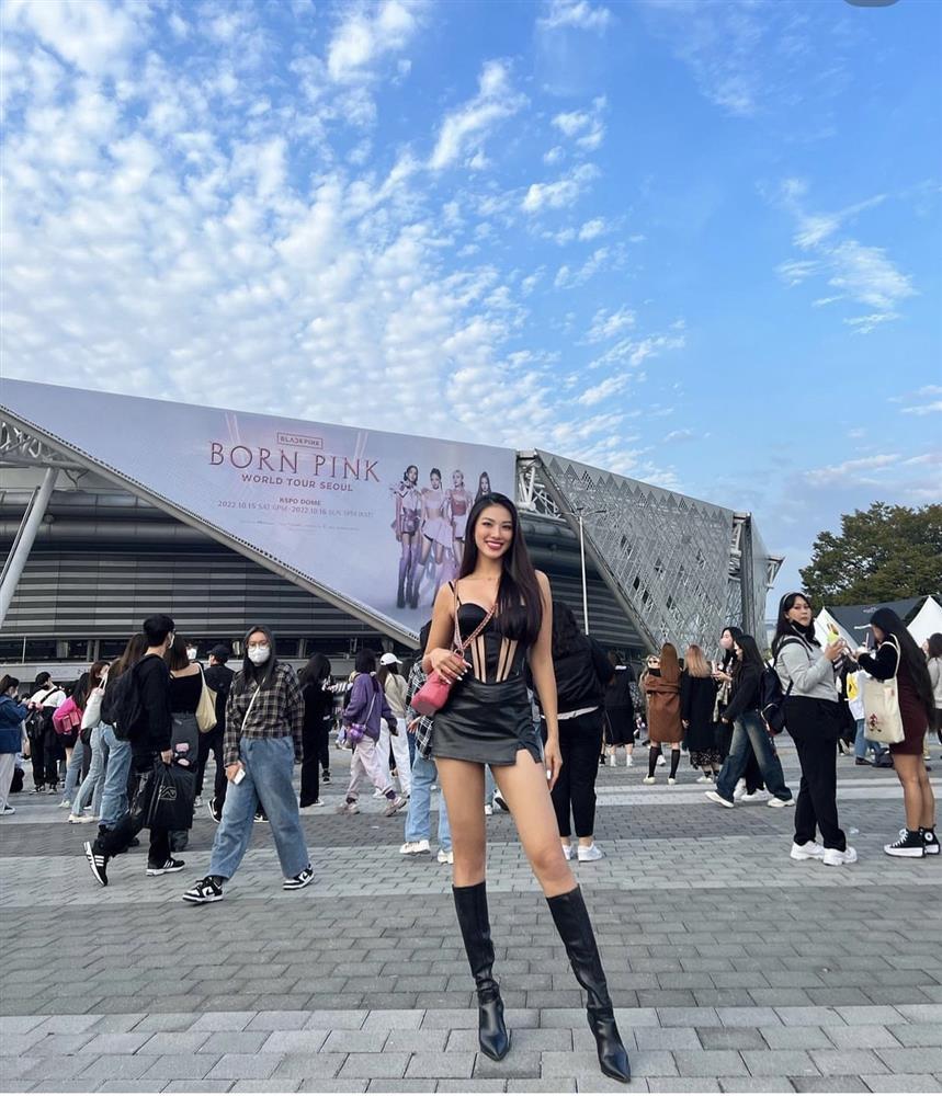 Kim Duyên - Miss Universe Korea đọ chân dài tại show BLACKPINK-4