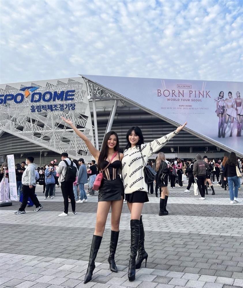 Kim Duyên - Miss Universe Korea đọ chân dài tại show BLACKPINK-5