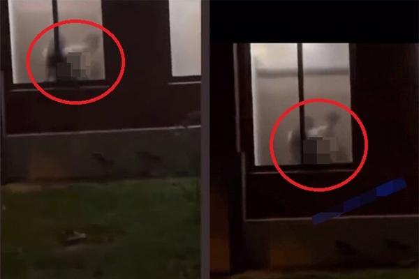 Cặp đôi hớ hênh yêu trong nhà vệ sinh bị hàng trăm người quay clip-1