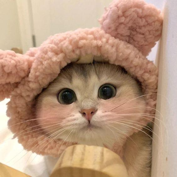 5 con giáp định mệnh dát vàng, đổi vận giàu sụ trong 2 năm tới-1