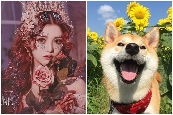 30 lông dài thì 40 đột tử, 50 lông mọc là mệnh trường thọ nghĩa là gì?-3