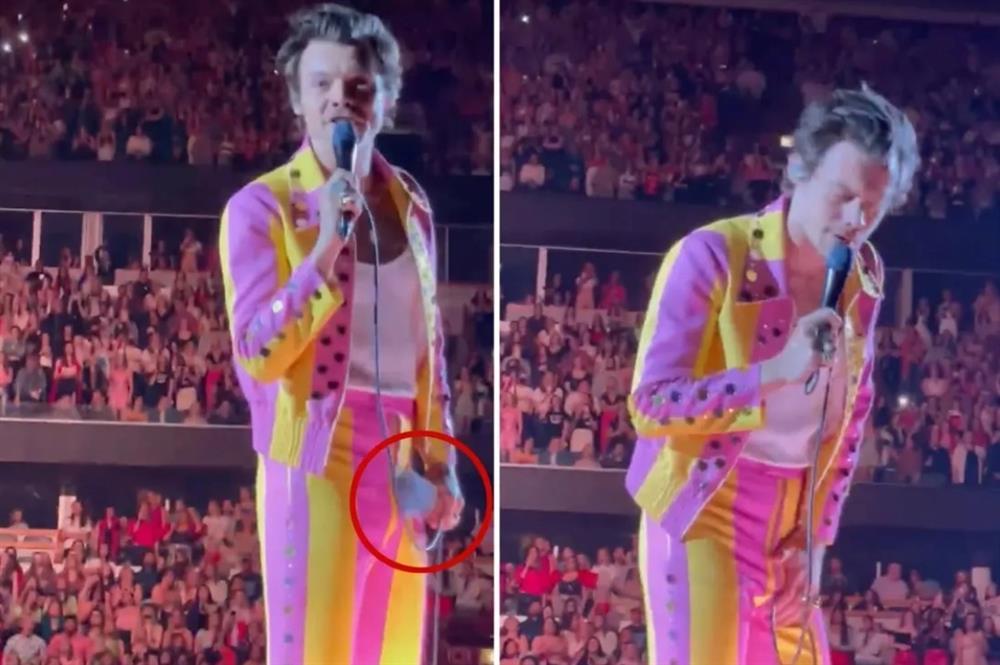 Harry Styles bị khán giả quá khích ném chai vào vùng nhạy cảm-2