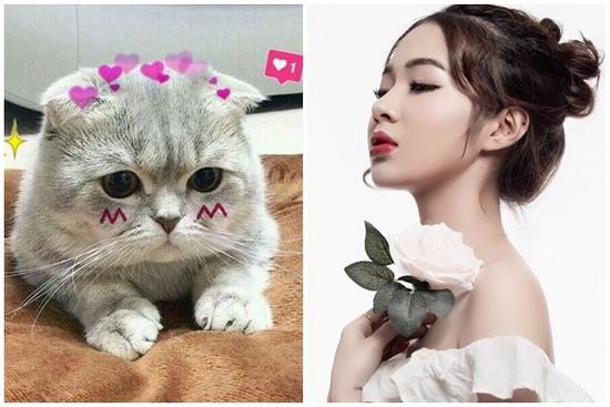 'Muốn ngồi ở vị trí không ai ngồi được', 12 con giáp cần thay đổi điều gì?