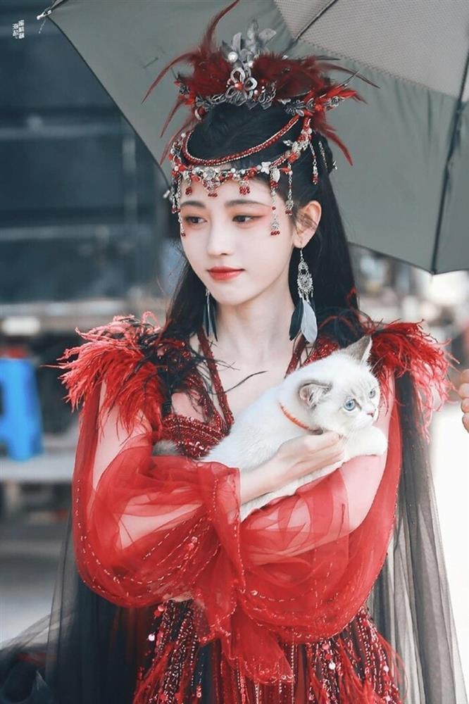 Ngu Thư Hân vừa quê, vừa hài thua xa nhan sắc của Cúc Tịnh Y-3