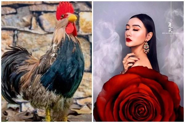 Tử vi hàng ngày 12 con giáp thứ Tư 19/10/2022: Phi thương bất phú-4