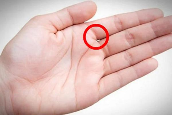 Bàn tay phụ nữ có ẩn tướng phú quý, dễ làm nên nghiệp lớn-4