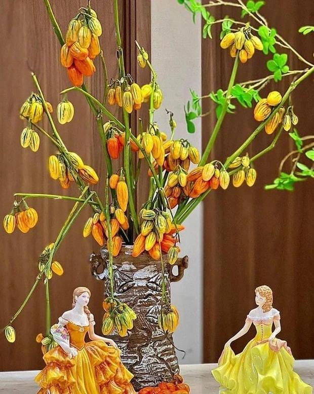 Mới lạ cành quả cắm bình đang làm mưa, làm gió thị trường-4