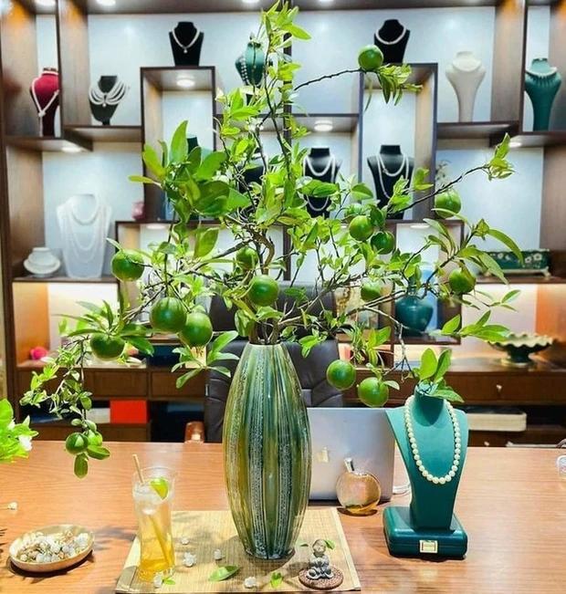 Mới lạ cành quả cắm bình đang làm mưa, làm gió thị trường-5