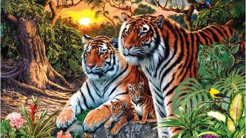 Qua đêm 18/10, 4 tuổi trọn vẹn Tam Hỷ: Hỷ Tài - Hỷ Sự - Hỷ Duyên-2