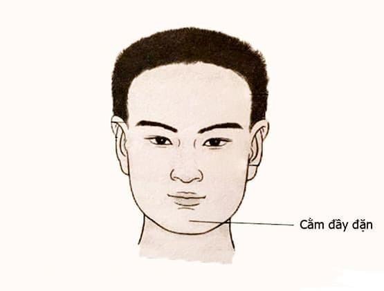 Người giàu có ba đặc điểm này trên khuôn mặt-3