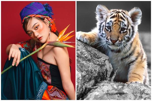 Tử vi hàng ngày 12 con giáp thứ Sáu 21/10/2022: Có còn kịp cứu vãn?-4