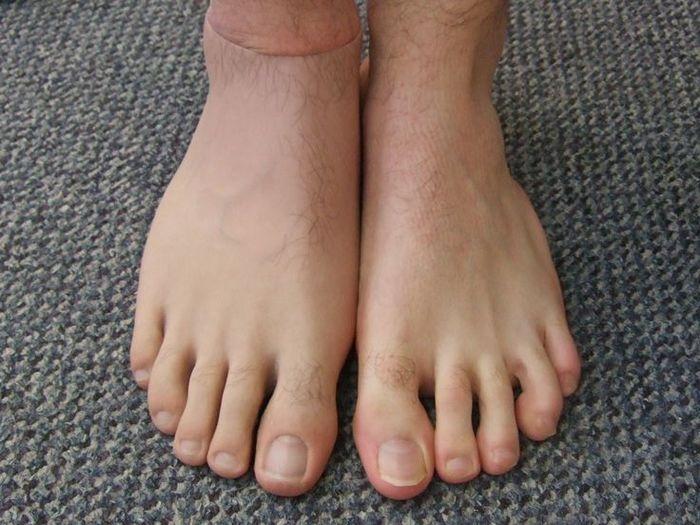 3 vị trí lông mọc càng nhiều càng dễ tụ lộc, hậu vận phú quý-3