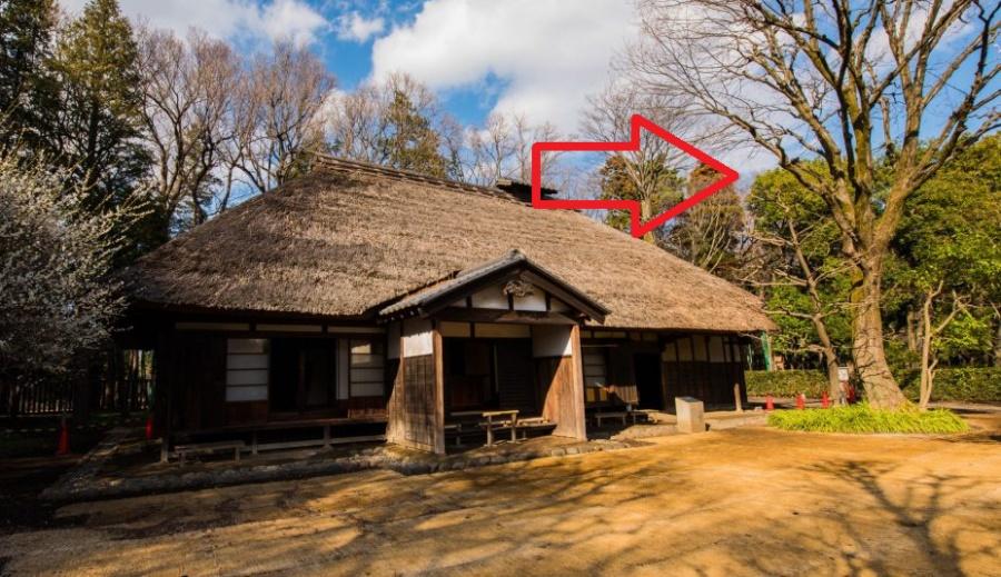 5 loại cây trồng trong dương trạch, con cháu 3 đời khốn khó lao đao-2