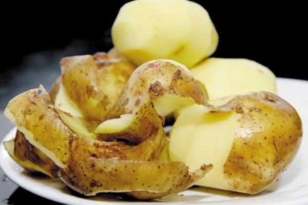 Khoai tây mọc mầm không ăn, tận dụng bón cây nửa năm hoa vẫn tươi-3