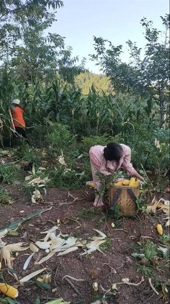 Nghị lực sống người phụ nữ đặc biệt: Tự lao động mưu sinh-1