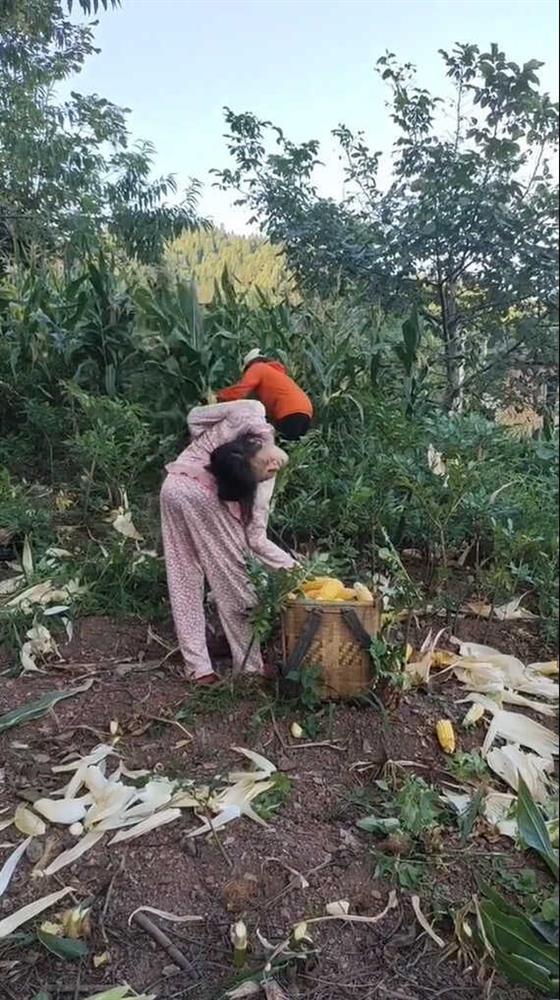 Nghị lực sống người phụ nữ đặc biệt: Tự lao động mưu sinh-2