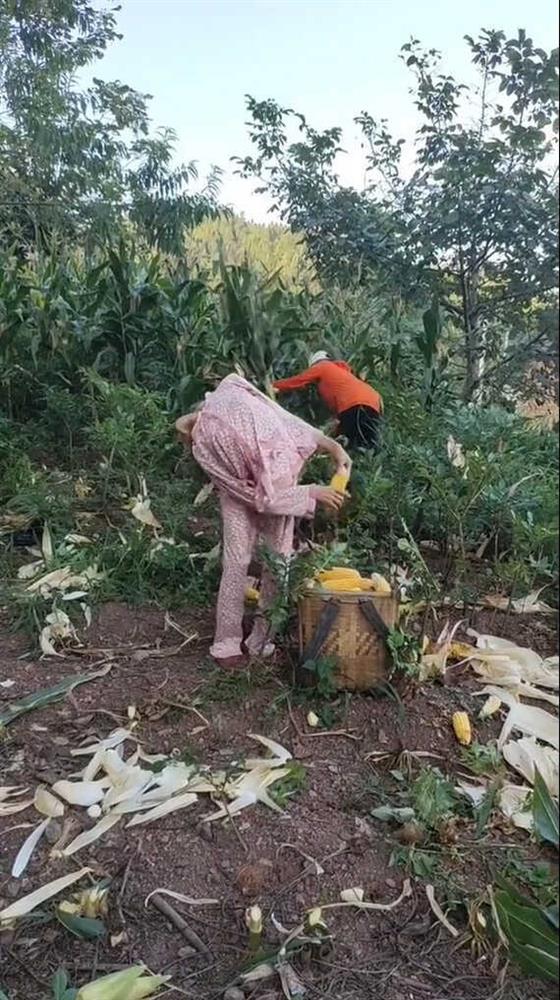 Nghị lực sống người phụ nữ đặc biệt: Tự lao động mưu sinh-3