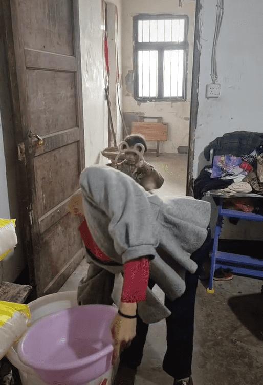 Nghị lực sống người phụ nữ đặc biệt: Tự lao động mưu sinh-5