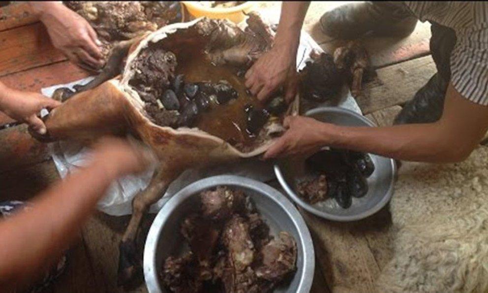 Sự thật sau món dê nướng ngon nức tiếng của người Mông Cổ-1