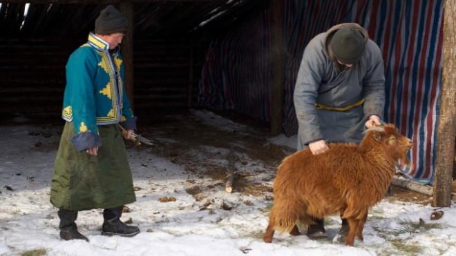 Sự thật sau món dê nướng ngon nức tiếng của người Mông Cổ-2