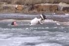 Chàng trai lao xuống sông băng cứu chú chó mắc cạn