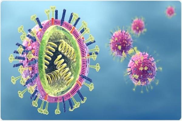 Xuất hiện cúm A/H5N1 trên người sau hơn 8 năm vắng bóng-1