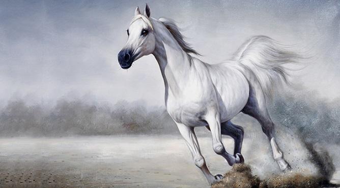 Thứ bảy 22/11: Chính Tài ban đồng ngân, đồng xuyến cho 4 tuổi-2