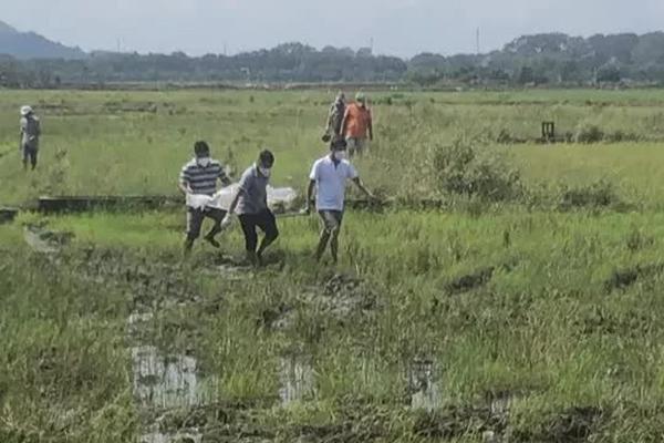 Một người đàn ông chết lõa thể giữa đồng ruộng-1