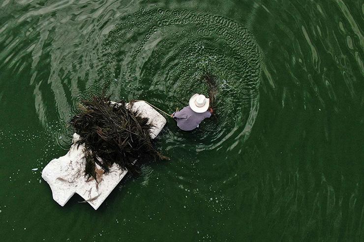 Trứng loại ruồi được ví như đồ ăn dành cho các vị thần-1