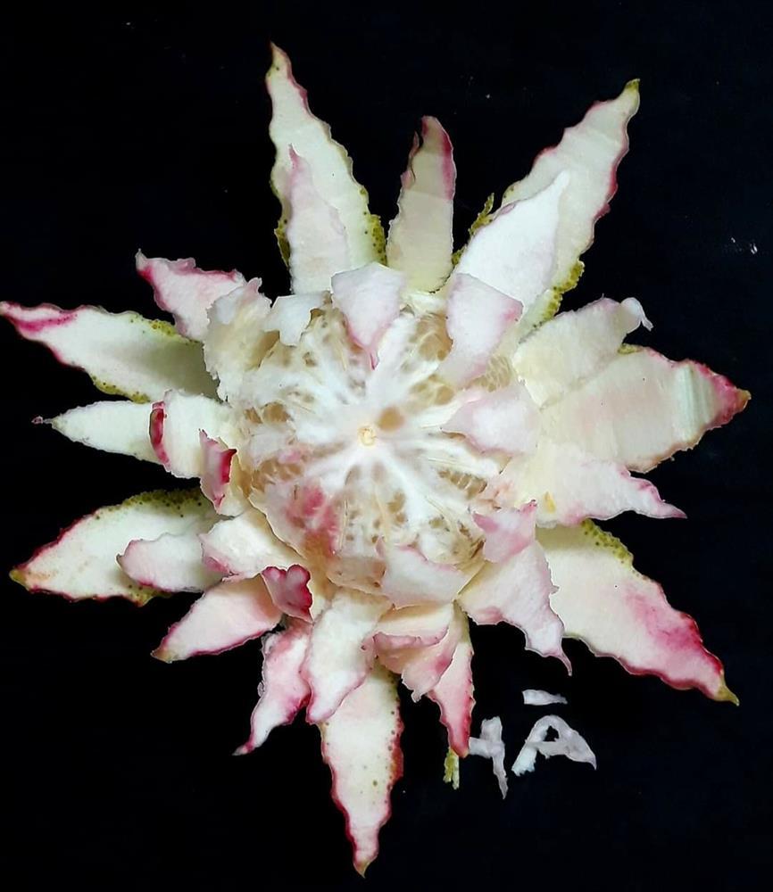 Đẹp mắt những bông hoa được làm từ quả bưởi-11