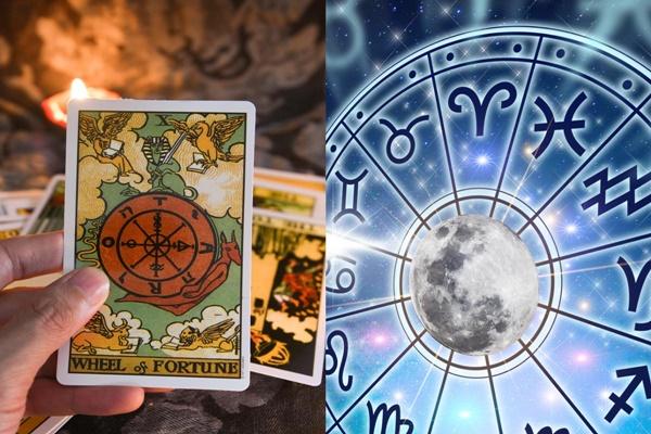 Bói bài Tarot hàng ngày - thứ Năm 27/10/2022: Đả kích xỏ xiên-1