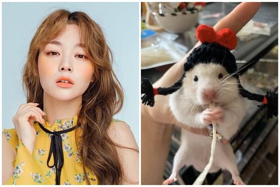 Tử vi hàng ngày 12 con giáp Chủ Nhật 23/10/2022: Chạm tay cúp vàng