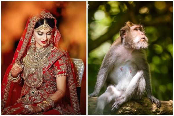 Tử vi hàng ngày 12 con giáp thứ Ba 25/10/2022: Họa vô đơn chí-4